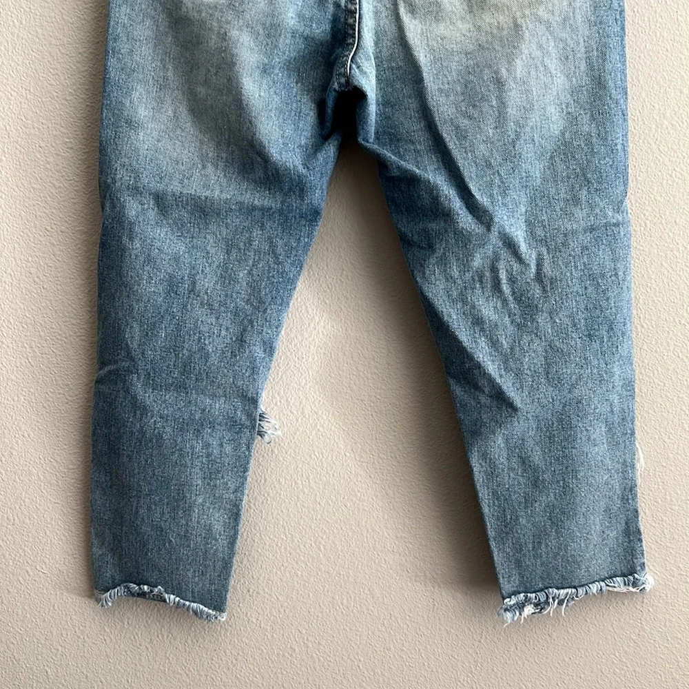 American Bazi Distressed Skinny Jeans